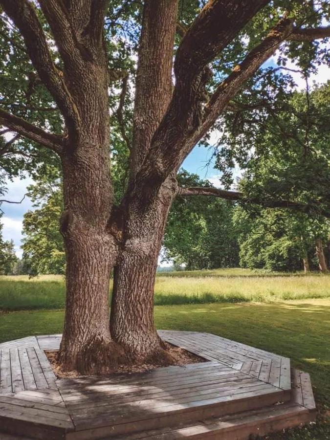 Stamerienas Apartamenti Exteriér fotografie